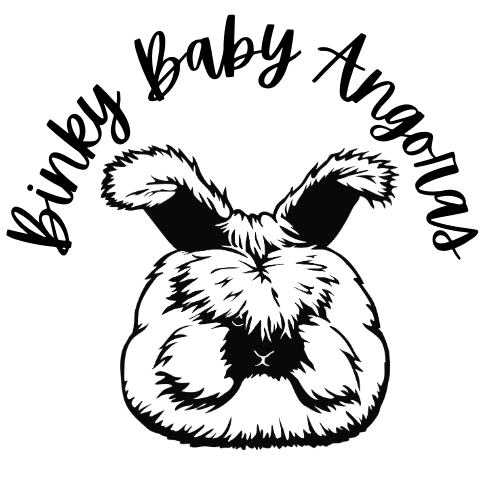 Binky Baby Angoras and Fiber